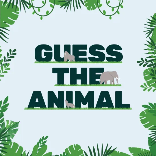 Animal Guessing Game Game